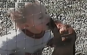 The Most Adorable And Hilarious Dachshund Compilation You Will Ever Se