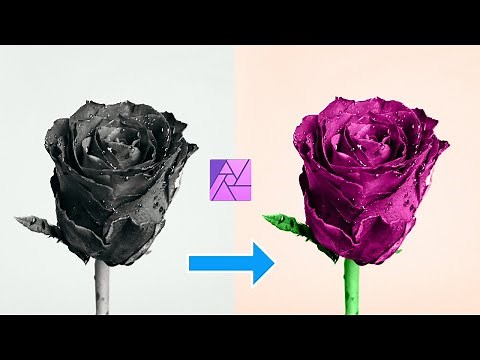 Colorize Black and White Images in Affinity Photo