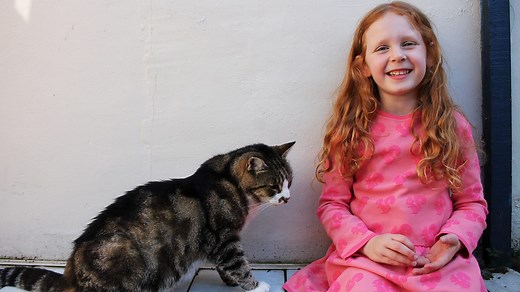 CBeebies - Ferne and Rory's Vet Tales, Series 2, Figo the Cat