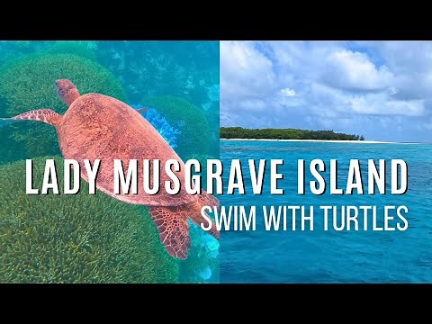 Lady Musgrave Island Day Tour - Snorkel The Great Barrier Reef!