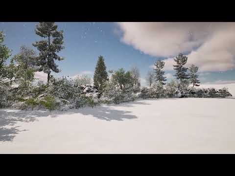 Whispering Pines: A Winter's Evening Soundscape