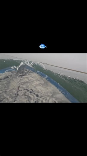 Riding a twin fish ...#onlyasurferknows #surf #surfing #fypage #surftok