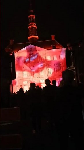 De Bosche Beeldenstorm ’s-Hertogenbosch Light Show at 20:00 | The Dragon Egg Awakens Live