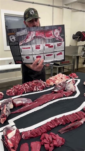 99K views · 1.2K reactions | The highly anticipated Deer Diagram is finally here, premiering LIVE on our YouTube channel TODAY, November 7th at 6 PM EST! 歷Join us today as we breakdown this deer carcass two different ways! #reels #reelsfb #butcher #butchering #deer #venison #whitetaildeer #youtube #viral | The Bearded Butchers | Facebook