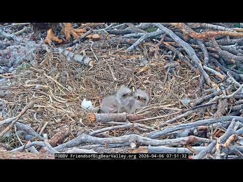 4-5-2026 A Beautiful Beginning