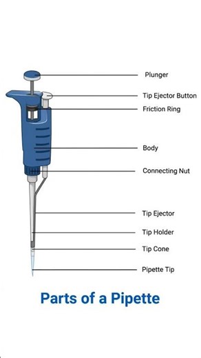 parts of pipette used in medical lab easy notes for nursing students #lab #part #nursing