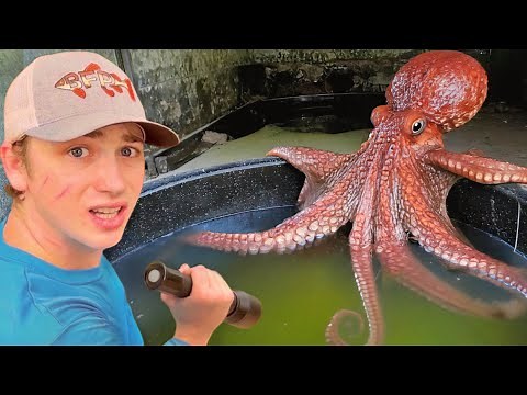 I Found Mysterious Fish Living in an Abandoned Pond!