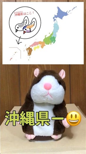 【沖縄県】都道府県たんたん🐹