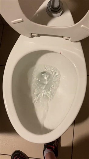 Weird flushing 2000s Kohler Highcrest toilet