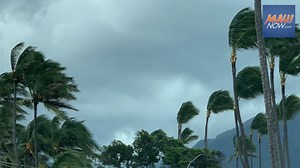 Wind Advisory: Localized gusts up to 50 mph in forecast | Maui Now