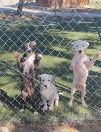 The City of Desert Hot Springs on Reels