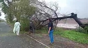 33K views · 1.8K reactions | Mukesh Patel on Reels | Facebook