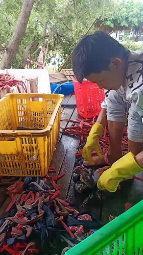 Organizing Electrical Cables: Step-by-Step Guide