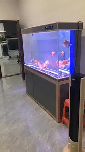 2m Glass Aquarium Dragon Fish Tank W/1.5m Aluminum Cabinet, Bottom Filter System, No Water Change Design