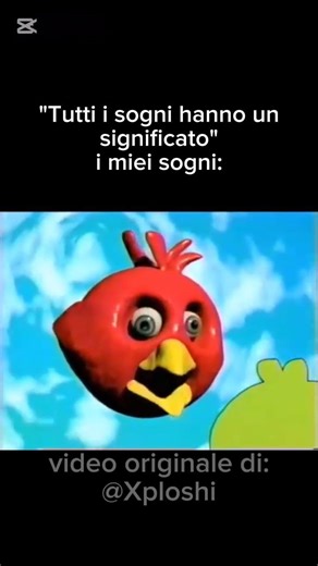 #memes video originale di @Xploshi