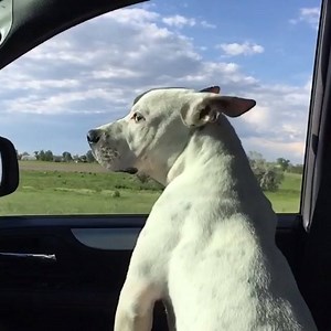 Pat "HD" Barry - Official Fan Page on Reels