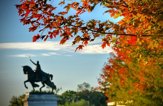 LIST: Fall festivals and events around the St. Louis area