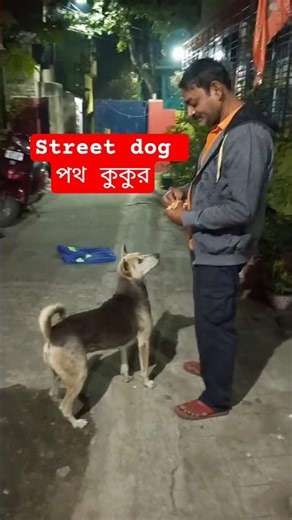 street dog 🐕♥️ পথ কুকুর tujhko Na dekhun to #love #shortvideo #shortsviral #dog #streetdog #street