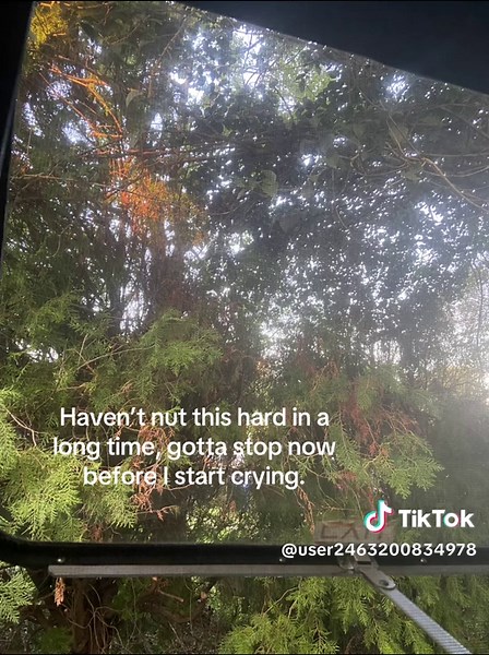 Lyrics hit deep Elliot smith #elliottsmith #fune #xyzbca #fypシ | elliot smith