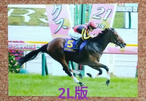 オークス2025サイン 注目は緑黄色枠 もう１つのＣＭも注目！