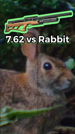 VERY Humane Rabbit Hunting Round 🎯