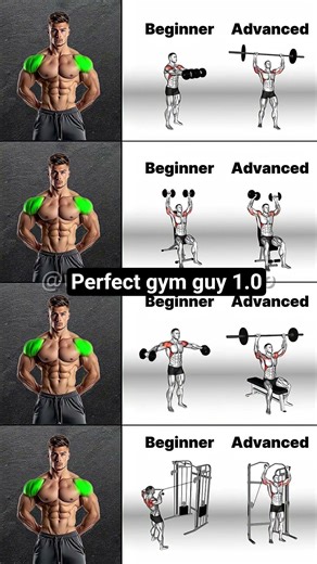 Complete Shoulder Training Guide: From Beginner to Advanced Pro