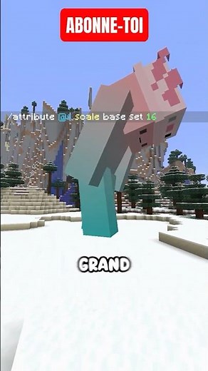 Les MEILLEURES COMMANDES MINECRAFT !!