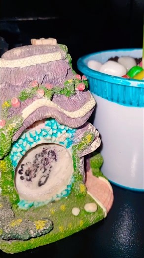 Indoor plant repotting🌿| lucky bamboo planting✨ #gardening #plants #shorts #shortsviral #trending