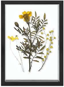 Amazon.com - Frametory, Floating Picture Frame 5x7 - Black Aluminum Metal Photo Frame - Real Glass of Front - for Wall Mount Displays