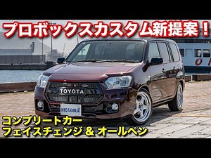 [Fully repainted] The latest facelift complete car, a Probox customized to lowrider specification...