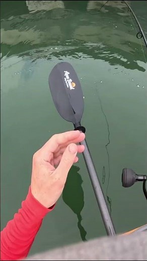 Drop a FIDDLER CRAB Under the Structure and Hold On! #fishing #kayakfishing #outdoors