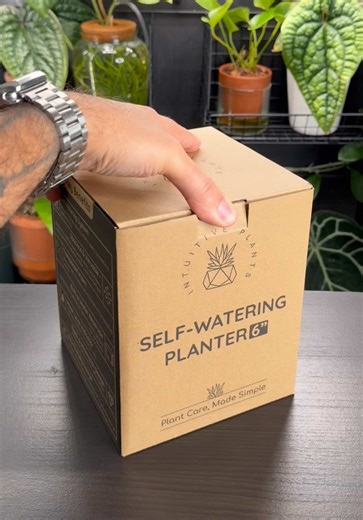 Upgrade Your Plant Care with Self-Watering Planters