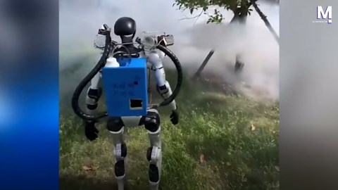 They won't be back! Terminator robot fumigates trees to eliminate bugs