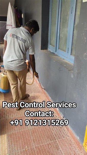 Pest Control Services #ad #pestcontrol #ytshorts