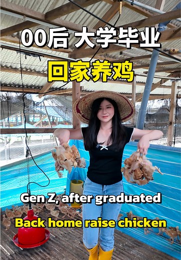 公母鸡的分辨与饲养技巧