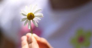 La motivación en la empresa