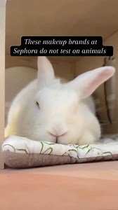 9.4K views · 116 reactions | NO animal testing was done from start to...
