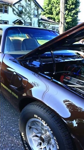 1979 Trans Am