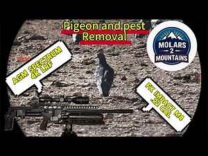 AGM Spectrum 4K LRF and FX Impact M4 cleaning up farm pests