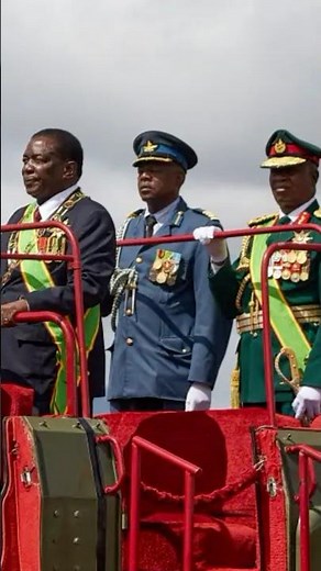The Zimbabwe’s Army hierarchy and levels of authority - How it fits together #zimbabwe #army