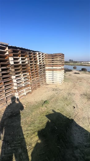 #hummerbee #commercialbeekeeping #almonds #pollination