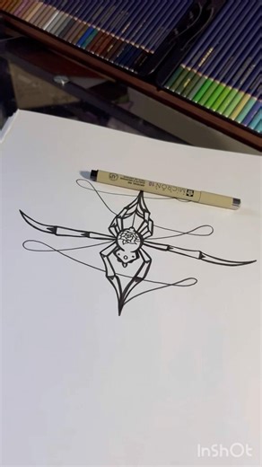 Spider and Web Drawing Artwork.