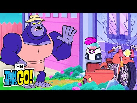 Monsieur Mallah vs Brian! | Teen Titans Go! | Cartoon Network