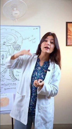 What Is the Fight or Flight System?