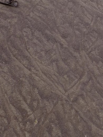 Specialized Bicycles on Reels