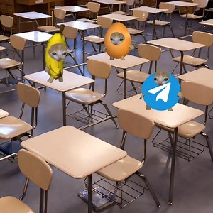 Telegram cat | Crybananacat