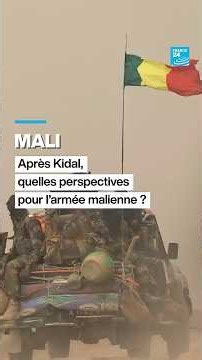 Mali : après Kidal, quelles perspectives pour l'armée dans le nord ? • FRANCE 24