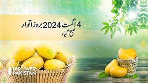 3.2K views · 20 reactions | Discover Pakistan in association with...