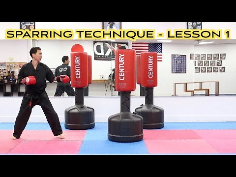 Karate Sparring Techniques and Drills / Lesson 1