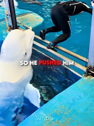 CuTe Beluga Showcasing Its Unique Skills